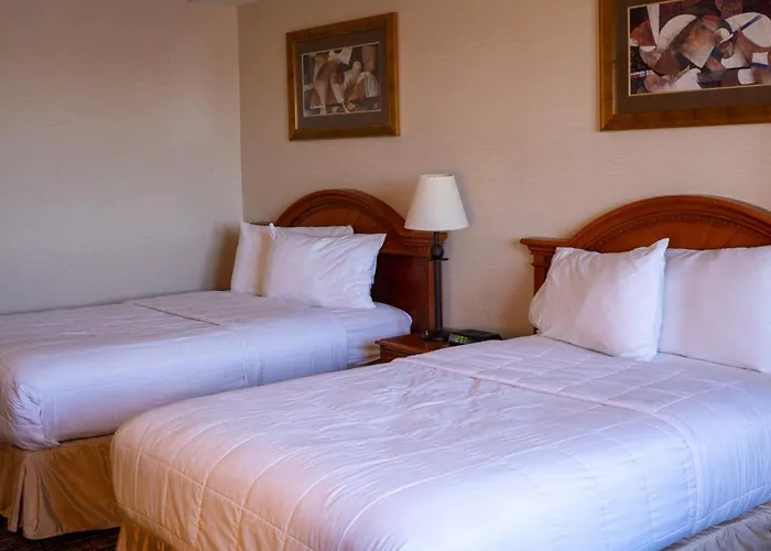 Luxury hotel only: Hotel Topeka At City Center